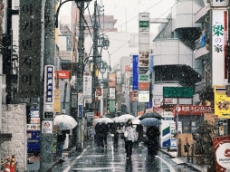 东京这雪下的也积不住啊... ​​​