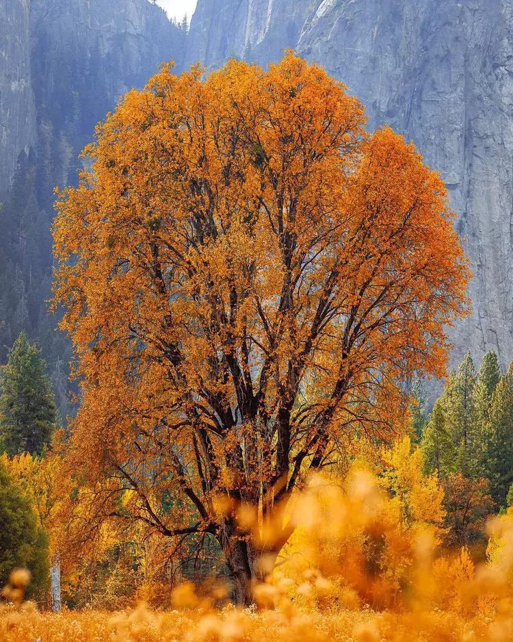 秋天美如画，用相机记录它，送你5句摄影口诀拍美秋景