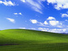 Windows XP 的“Bliss”壁纸很可能是史上观看人数最多的图像。