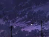 精选美图