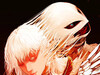 人才[doge] ​​​