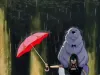 当《间谍过家家》模仿电影《龙猫》的经典镜头……[笑cry][笑cry][笑cry]这是什么鬼啊？！ ​​​