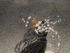 Kay Nielsen ​​​