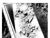 【漫画预告 - 本周单更】  #一人之下# “吕爷，您还记得我，真荣幸。”  （配图From 作者@米老2 ) ​​​