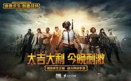 1557477129300430.webp