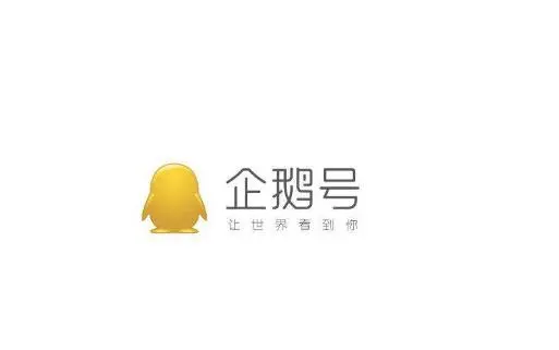 1554884545198.webp