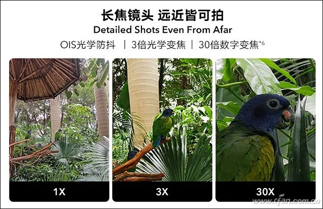 1558489908879.webp