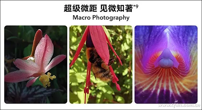 1558489909991.webp