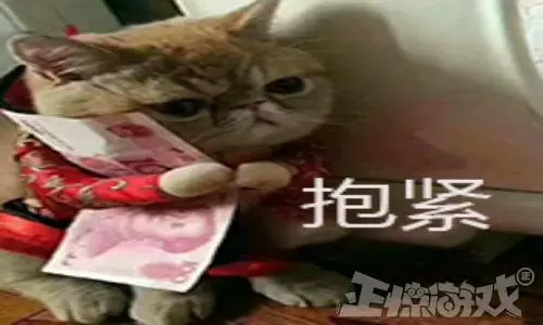 3e2dc077-24b2-439b-81e1-e0a454467c2a.webp