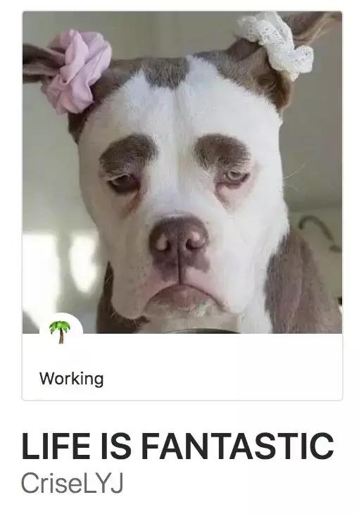 c0d65c134c6b4ae5b4978b6aa837bbff.webp