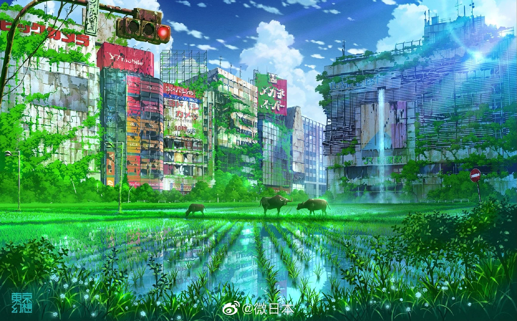 微信图片_20190618171552.webp