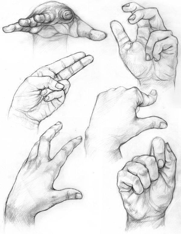 img-36d855566a0723d305b50f5cce37def5.webp