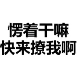 1559791966467.webp