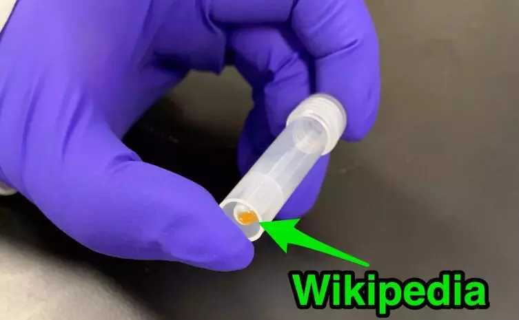 1562039469073_7d70650359234480884a9d10317a4dba.jpeg.webp