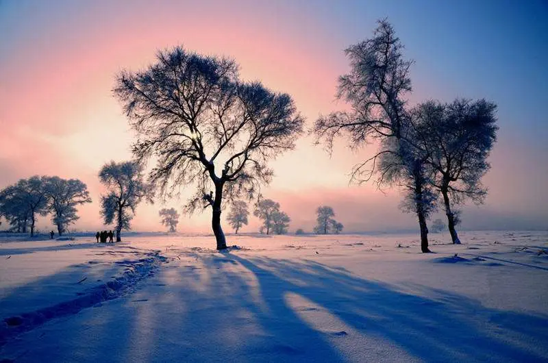 A2mhhnmXZYwRjkZv.webp