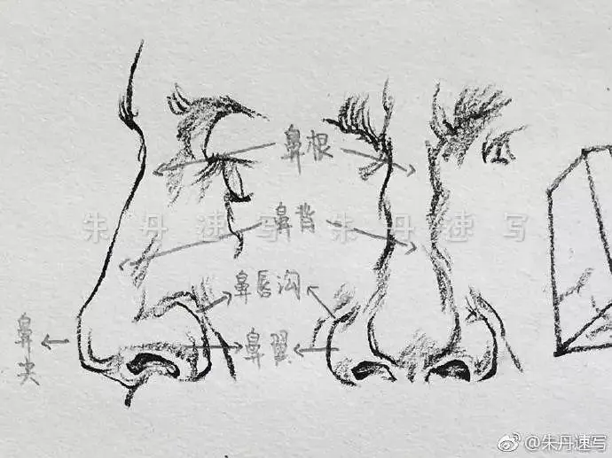 ?url=http%3A%2F%2Fdingyue.ws.126.net%2F2020%2F0122%2Fd64db812j00q4hrrw001mc200j600edg00it00e3.webp