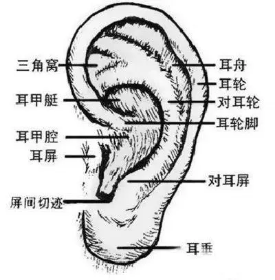 ?url=http%3A%2F%2Fdingyue.ws.126.net%2F2020%2F0122%2F2aa6d4fdj00q4hrru000uc200b400bbg00b400bb.webp