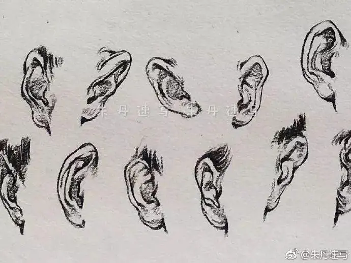 ?url=http%3A%2F%2Fdingyue.ws.126.net%2F2020%2F0122%2F4cfda638j00q4hrrv001oc200j600eeg00j600ee.webp
