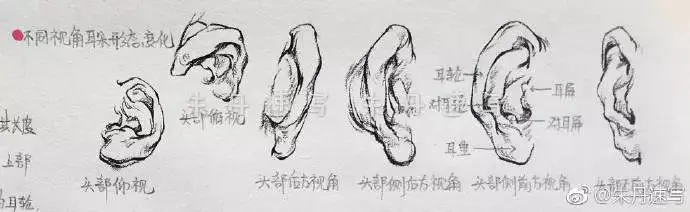?url=http%3A%2F%2Fdingyue.ws.126.net%2F2020%2F0122%2F21a95f3dj00q4hrru000pc200j6005wg00j6005w.webp