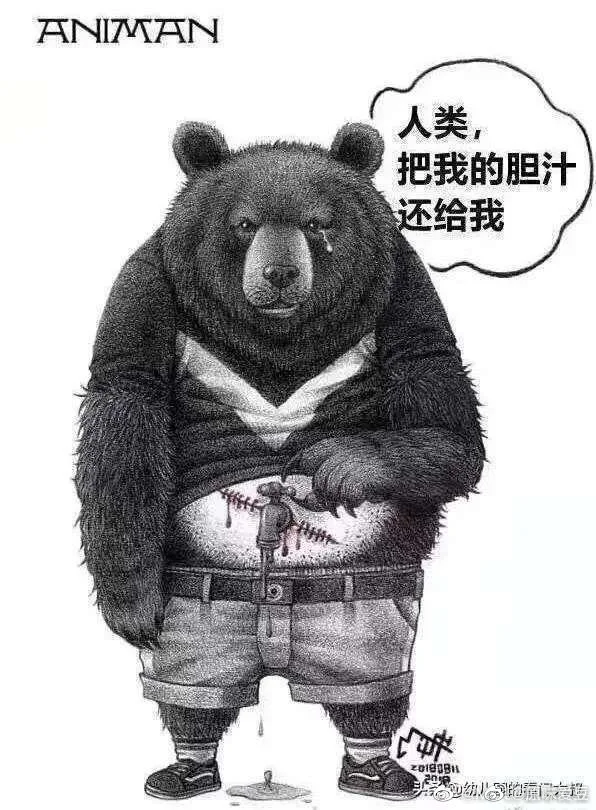 img-c02e1af5bebacae613861f737ec1d2bf.webp