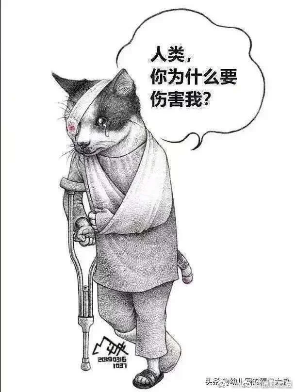 img-cc5785cff040a01d13645bcc7625aa4a.webp