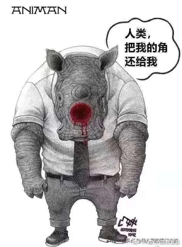 img-85b953931f8417e612eca94f9622f57a.webp