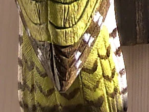 20190228_nokia9_cam_pic01a.webp