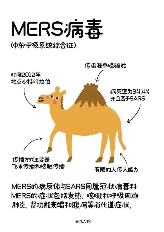 img-5d0b8466a9b7bee4f65d62826acc864c.webp