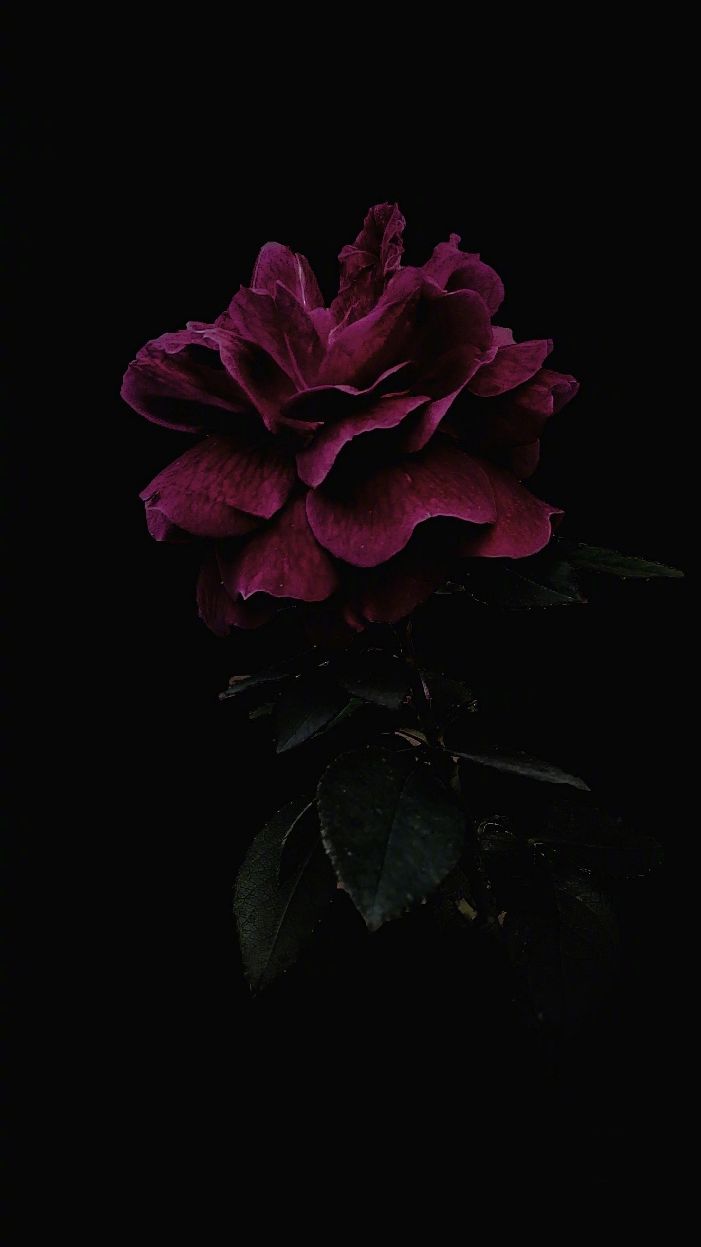 img-8fbee8e55354d6e2a754a20d3312431f.webp