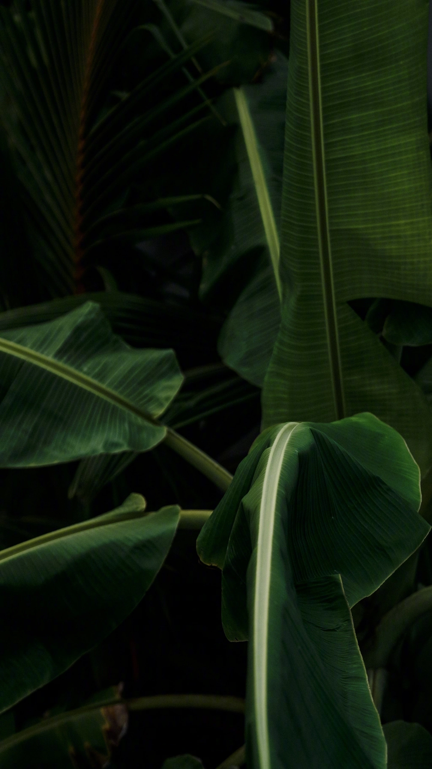 img-d5a70a8a635f2ab391ca9016fdf210b2.webp