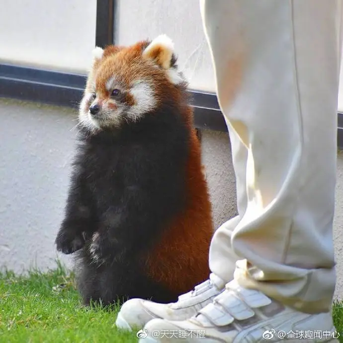 img-c6db57bad9a9303c1657e9d37062883a.webp