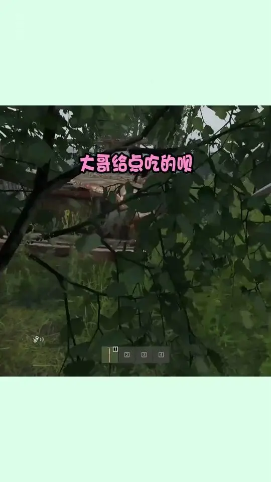 222448xbrj1bmr64i4zbry.webp
