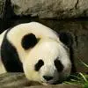 214159k33782t73r332tqy.webp