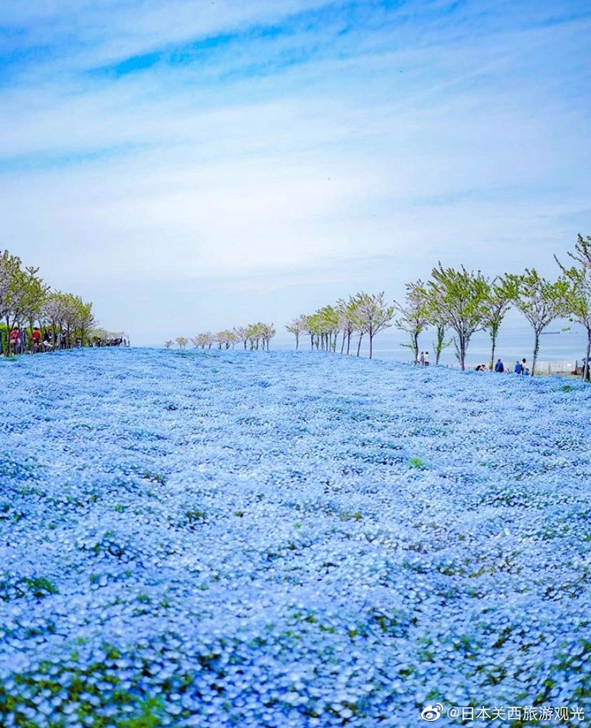 img-725cb5cca0d672a48ef0c7716a4ede5d.webp