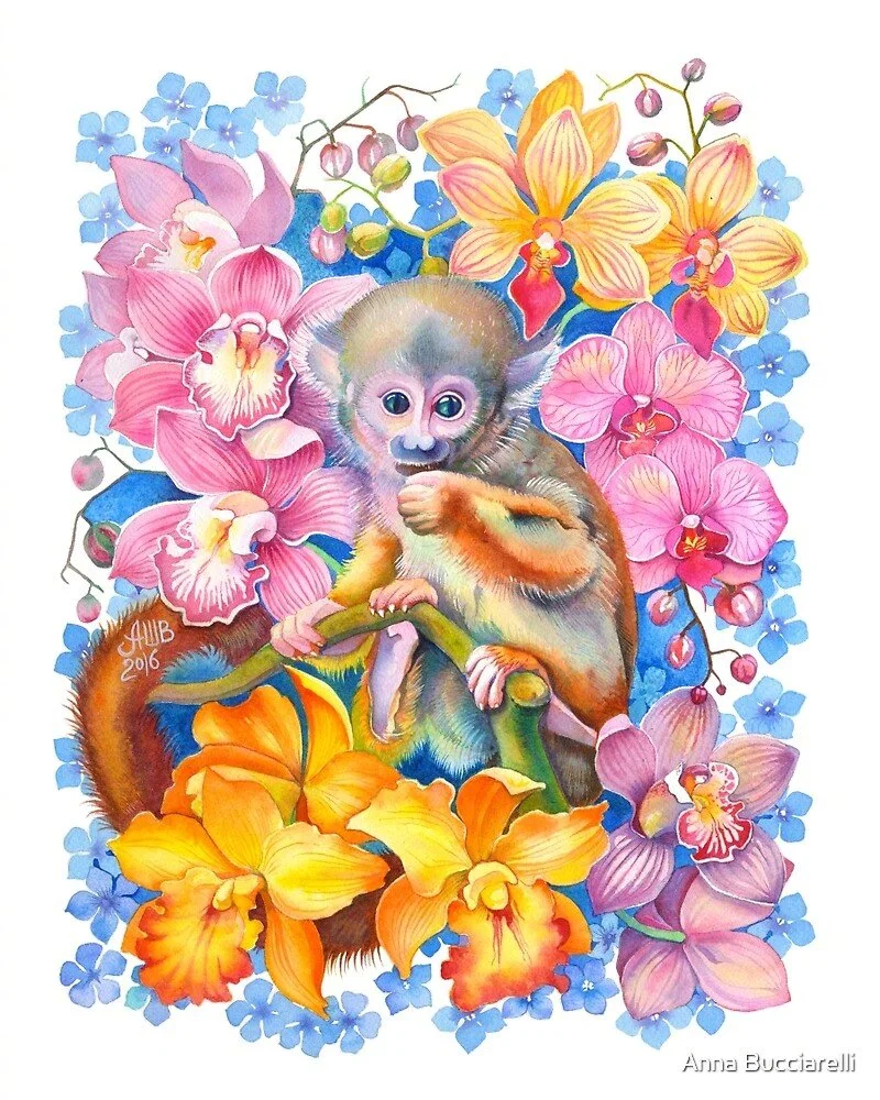 img-174410e290c56de77e25b83c12c542b2.webp