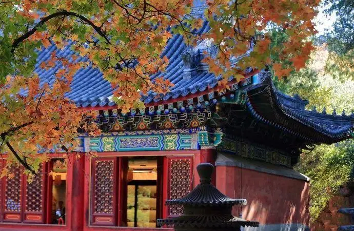 ?url=http%3A%2F%2Fdingyue.ws.126.net%2F2020%2F0623%2F2ac21230j00qcdp6k002kc000j600cim.webp