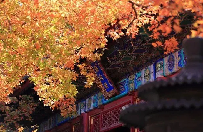 ?url=http%3A%2F%2Fdingyue.ws.126.net%2F2020%2F0623%2F295a15e1j00qcdp6k0028c000j600cim.webp