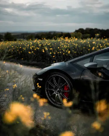 8af822d6ly1gggfodjllqj20u011ikhb.webp