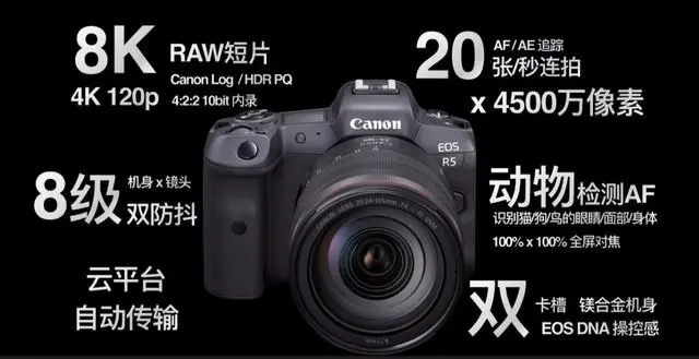 ?url=http%3A%2F%2Fdingyue.ws.126.net%2F2020%2F0709%2F57cec415j00qd7dqz001bc000hs0095m.webp