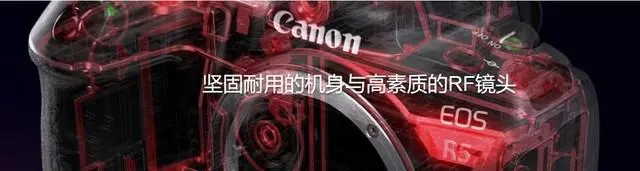 ?url=http%3A%2F%2Fdingyue.ws.126.net%2F2020%2F0709%2F2e32b483j00qd7dqz000yc000hs004rm.webp