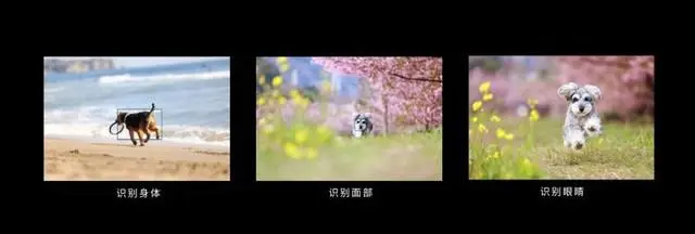 ?url=http%3A%2F%2Fdingyue.ws.126.net%2F2020%2F0709%2F47415ae5j00qd7dqz000nc000hs0060m.webp