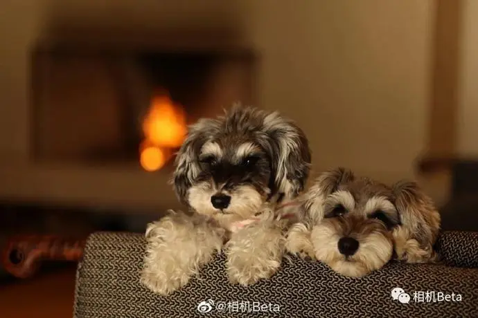 ?url=http%3A%2F%2Fdingyue.ws.126.net%2F2020%2F0711%2Fea264f0bj00qda2ht002fd200u000k0g00it00cj.webp