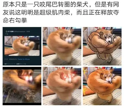 ?url=http%3A%2F%2Fdingyue.ws.126.net%2F2020%2F0720%2F0c1f6090p00qdr5l9007hd200bx00agg00bx00ag.webp