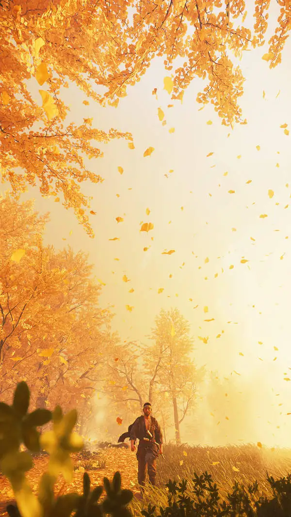 eb9e7635-f5d6-455b-83dc-bc09530a857e.webp