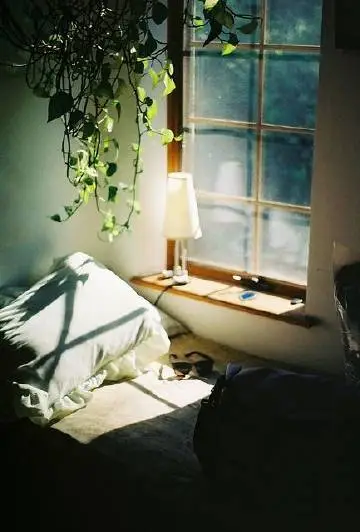 648ac377gy1gh4etitfl3j20c10hsgmk.webp