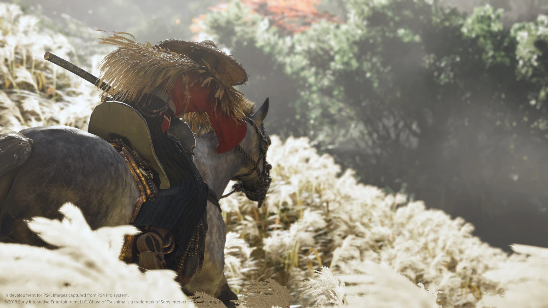 gamersky_08origin_15_2018612126E0C.webp