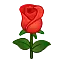 w_xianhua-f902c37199.webp