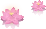 ?url=http%3A%2F%2Fdingyue.ws.126.net%2F2020%2F0828%2Fdef6df8cp00qfrjs0000ic0004i002wm.webp