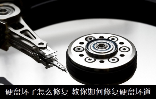 forum.webp