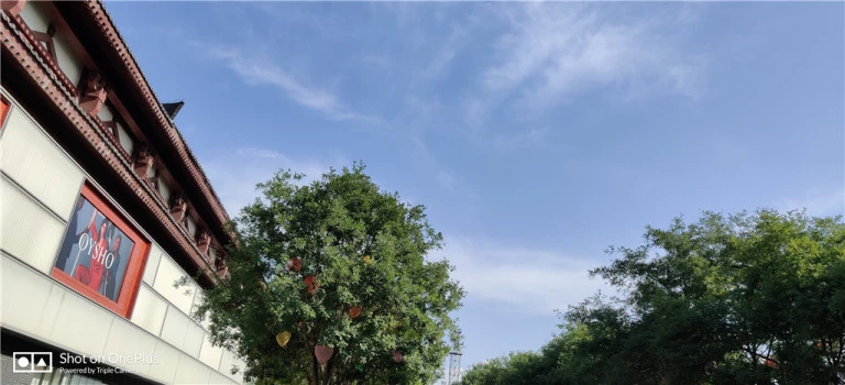 resize,w_768.webp